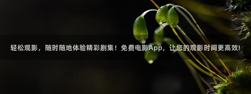 九九电视剧在线播放