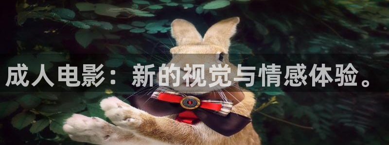 九九在线中文视频：成人电影：新的视觉与情感体验。