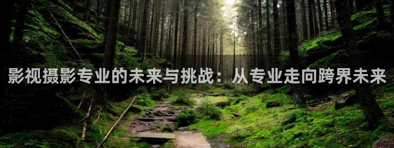 九九电视剧免费播放