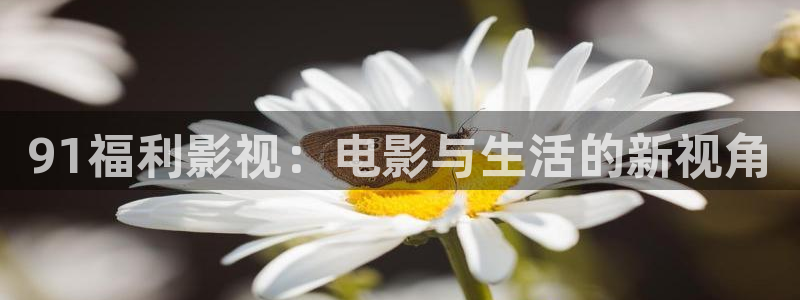 九九视频一区二区
