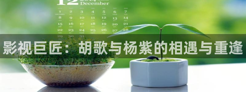 九九影院电视剧大全：影视巨匠：胡歌与杨紫的相遇与重逢