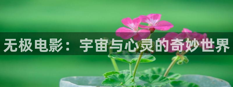 午夜九九影院