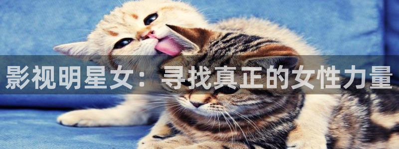 九九热视频免费视频：影视明星女：寻找真正的女性力量