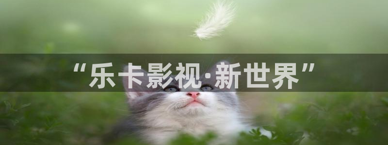 九九视频免费看nba：“乐卡影视·新世界”