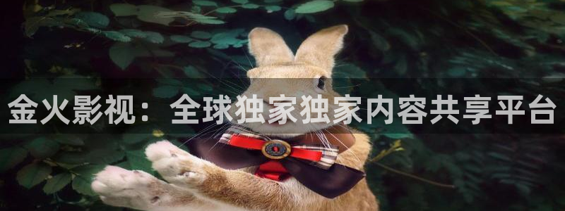 九九视频精品